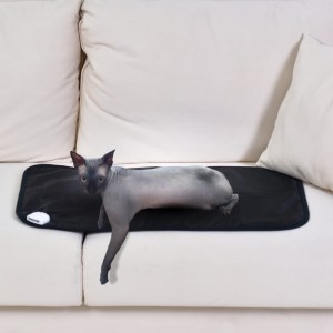 mimihot-cat